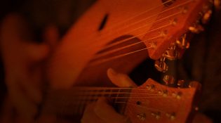harp guitar